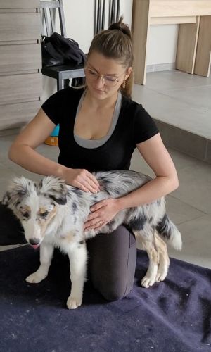 massage animalier leab