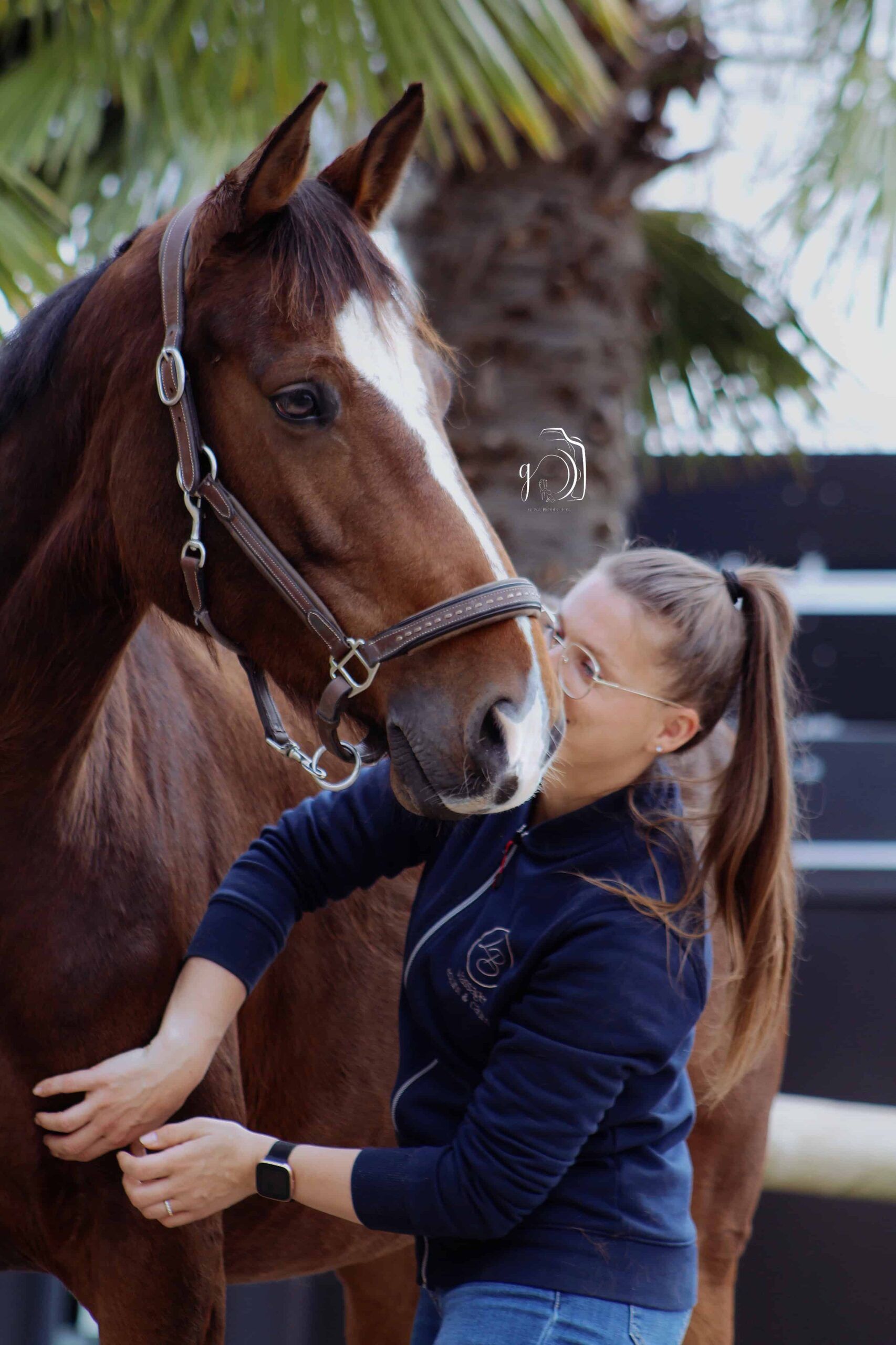 Prestations cheval et léa massage animalier leab