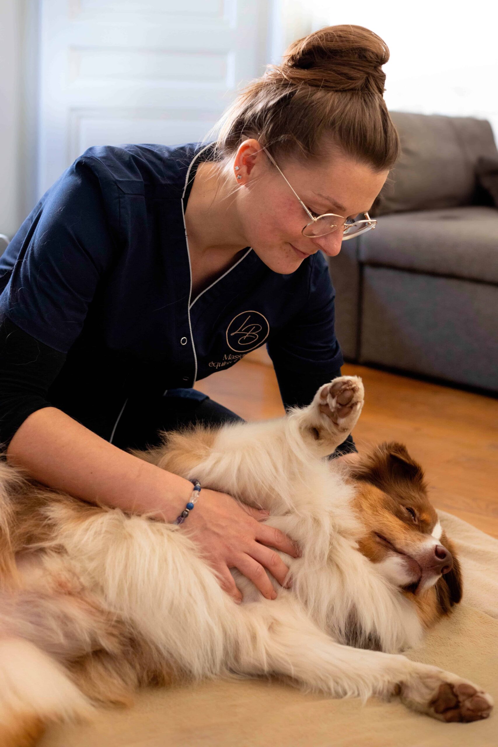 Prestations chien