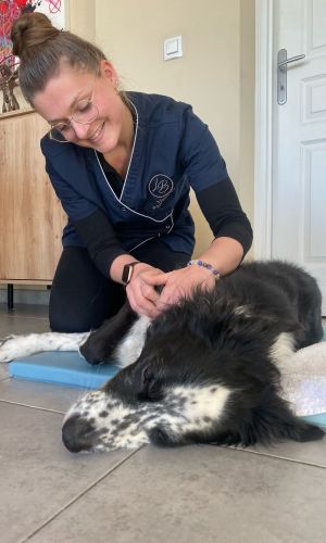 massage animalier leab