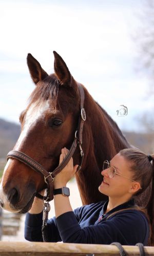 massage animalier