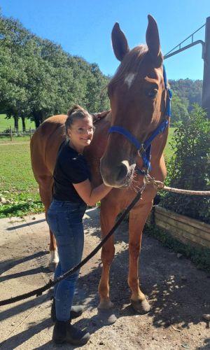 massage animalier leab