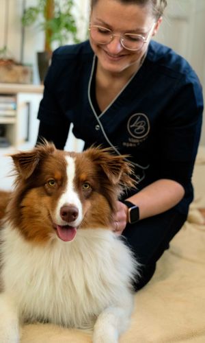 massage animalier leab