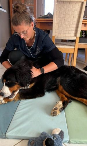 massage animalier leab